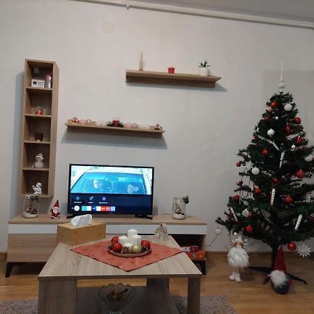 Apartament Ambrus Sighişoara Dış mekan fotoğraf