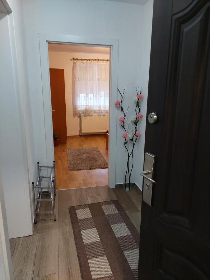 Apartament Ambrus Sighişoara Dış mekan fotoğraf