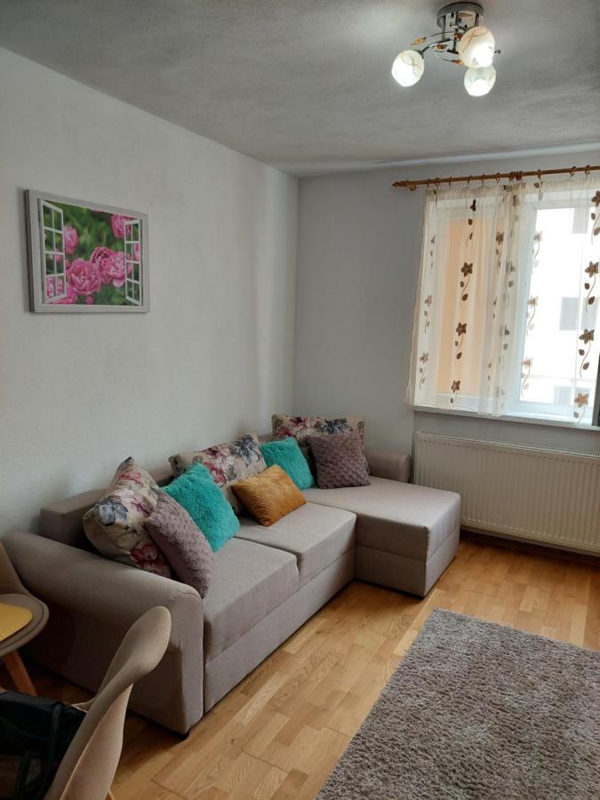Apartament Ambrus Sighişoara Dış mekan fotoğraf