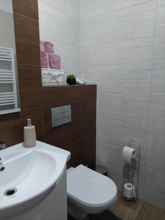 Apartament Ambrus Sighişoara Dış mekan fotoğraf