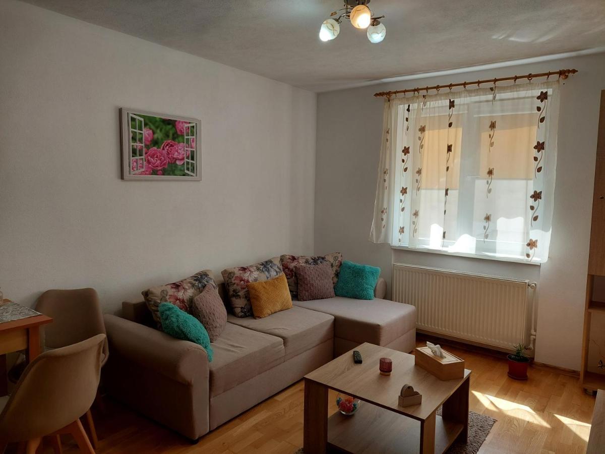 Apartament Ambrus Sighişoara Dış mekan fotoğraf