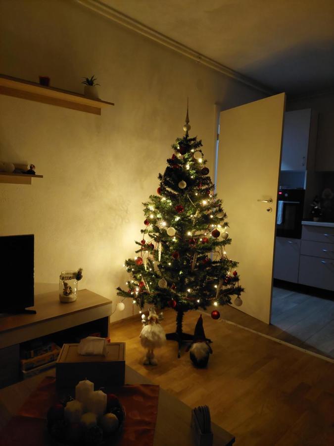 Apartament Ambrus Sighişoara Dış mekan fotoğraf